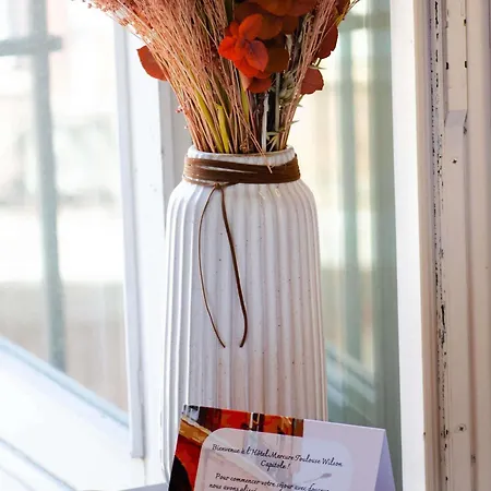 Mercure Centre Wilson Capitole טולוז